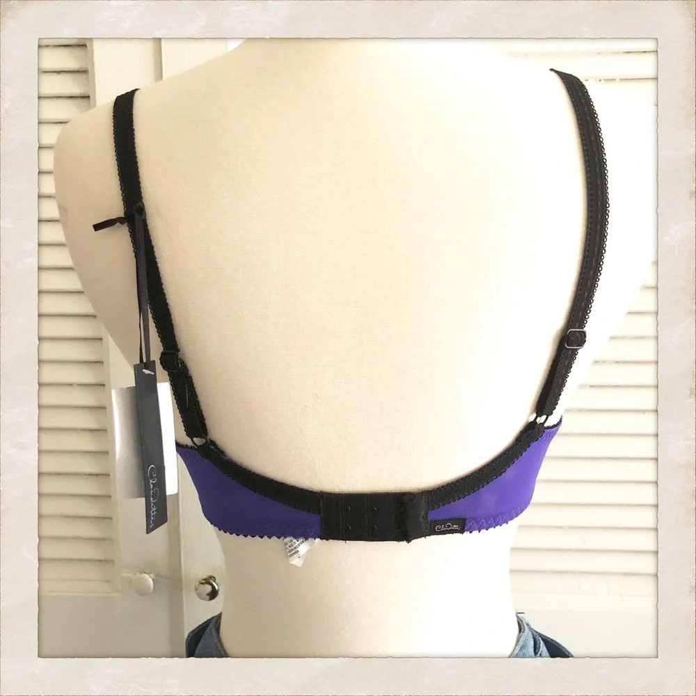 Claudette Dessious Sheer Purple‎ Bra, 34C, NWT